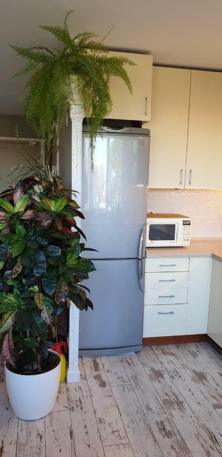 Family Apartment ニダ エクステリア 写真